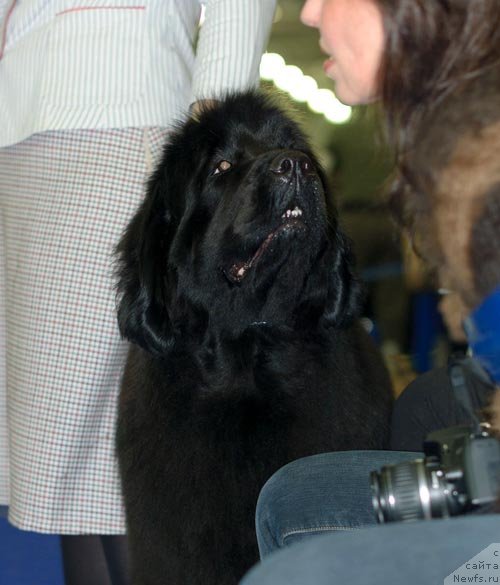 Фотография № 62330