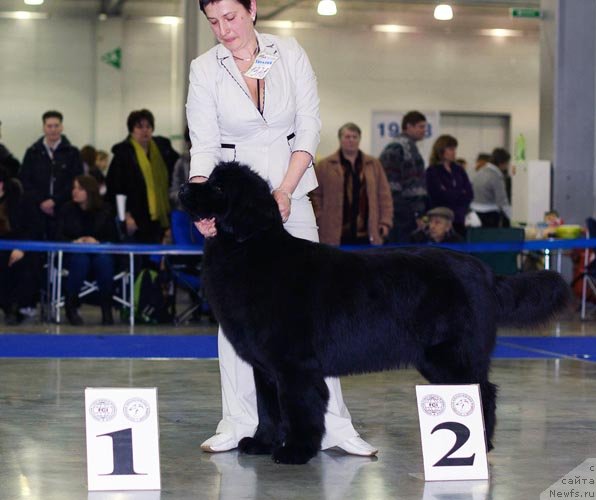 Фотография № 62337