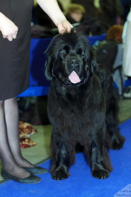 Фотография № 62342