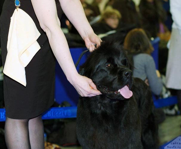 Фотография № 62343