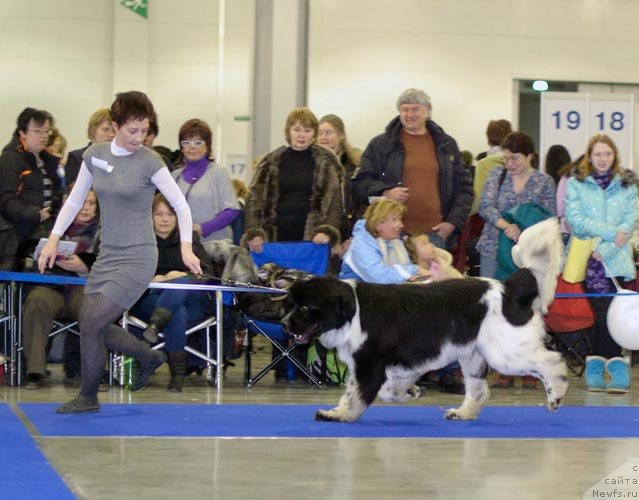 Фотография № 62347