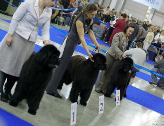 Фотография № 62351