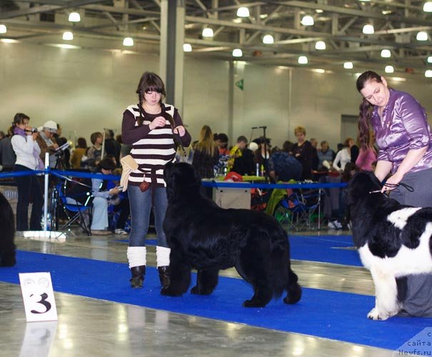 Фотография № 62358