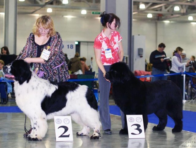 Фотография № 62359