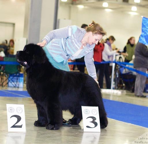 Фотография № 62361