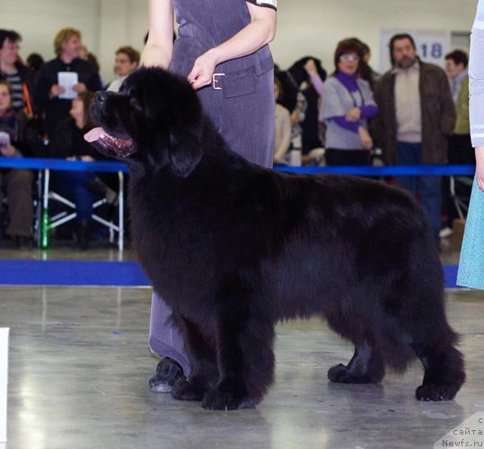 Фотография № 62362