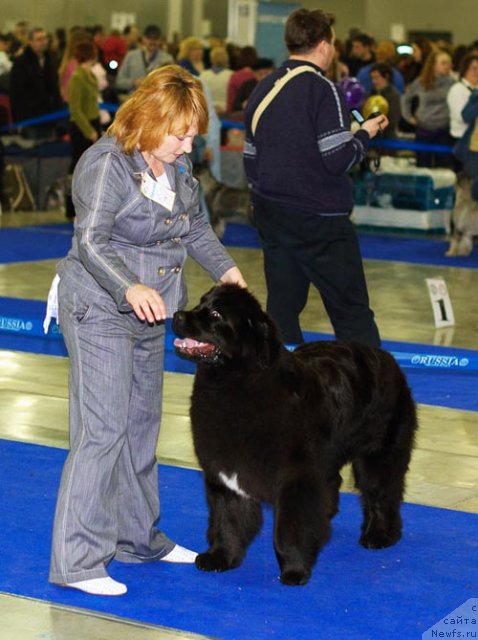 Фотография № 62363