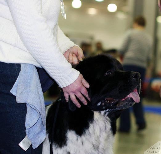 Фотография № 62365