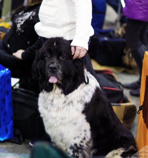 Фотография № 62366