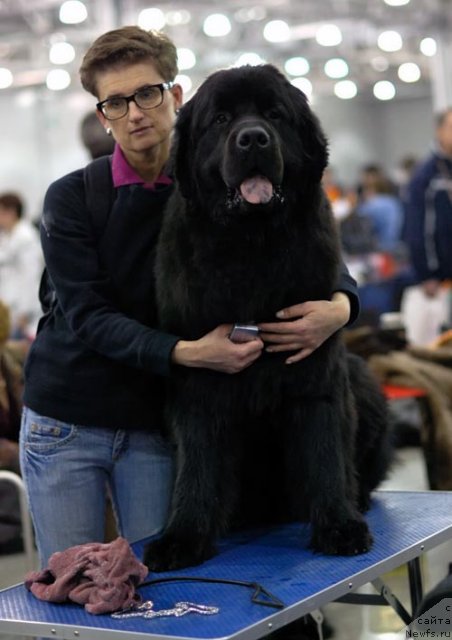 Фотография № 62400