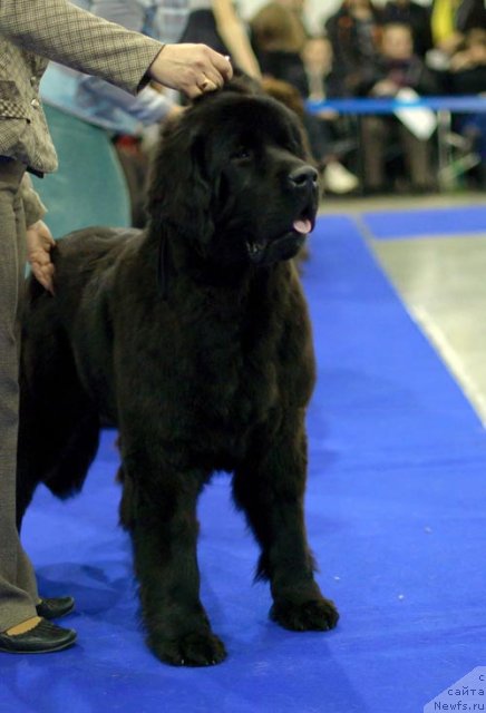 Фотография № 62411