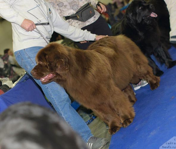 Фотография № 62413