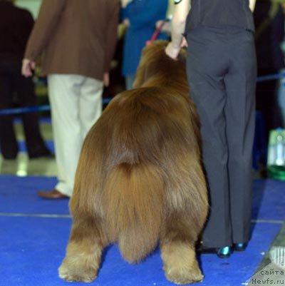 Фотография № 62418