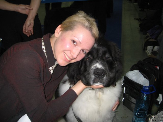 Фото: ньюфаундленд Fenix du Puy de Vendegre