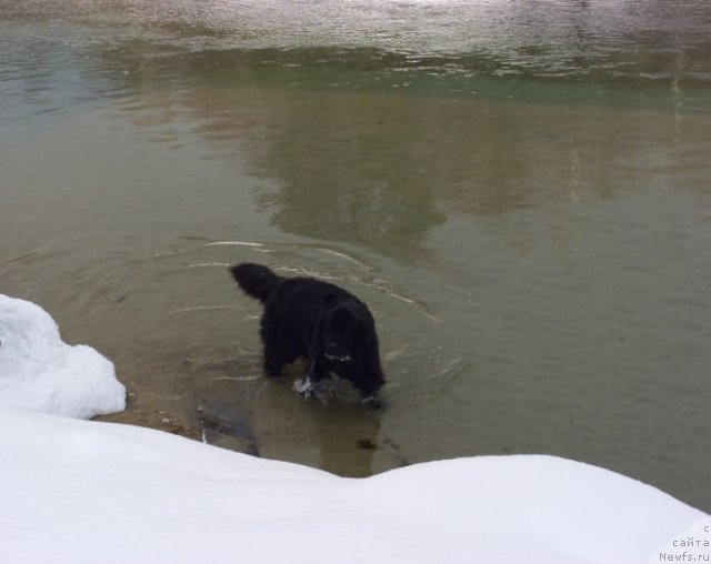 Фотография № 62427