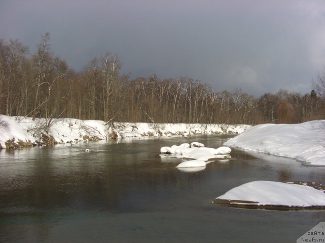 Фотография № 62432