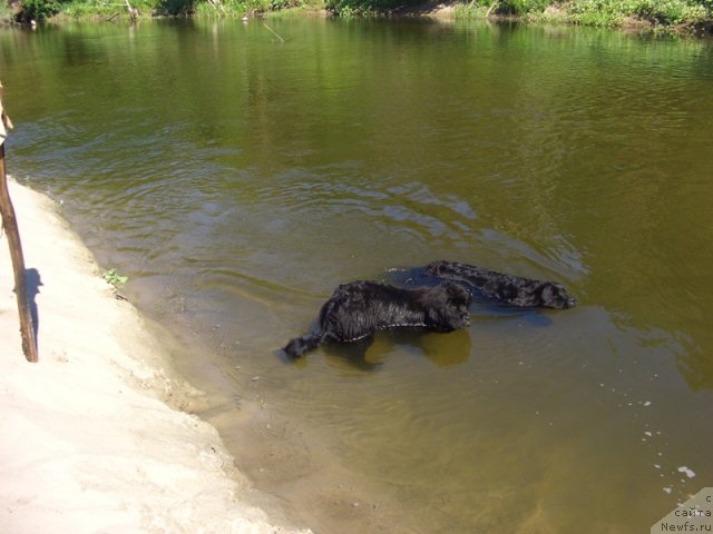 Фотография № 62438