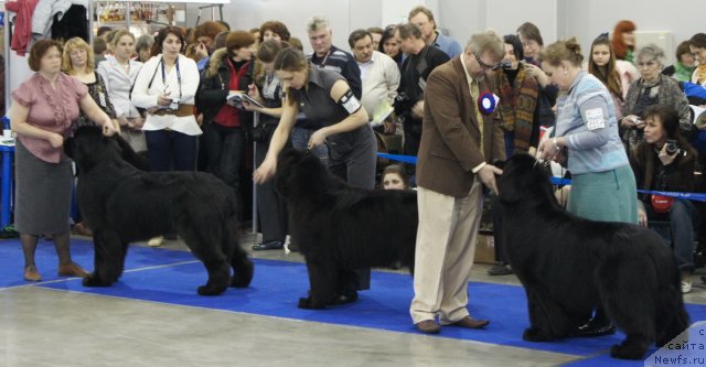 Фотография № 62460