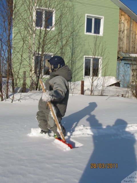 Фото: Irina Nistratova (Ирина Нистратова)