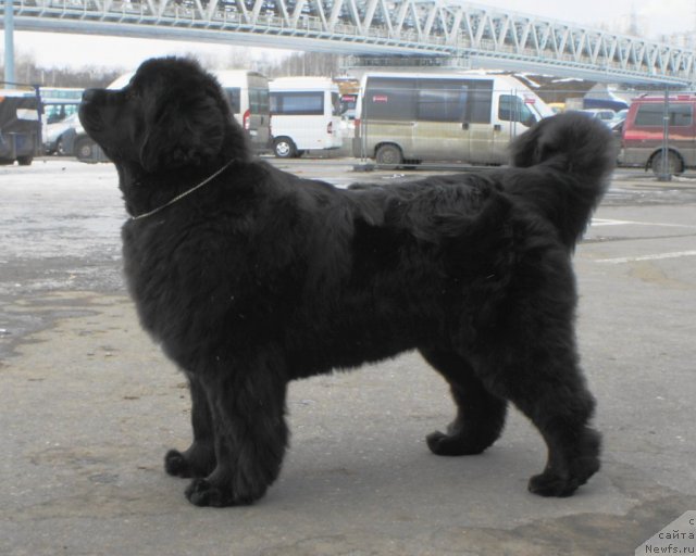 Фотография № 62508