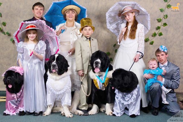 Фотография № 62600