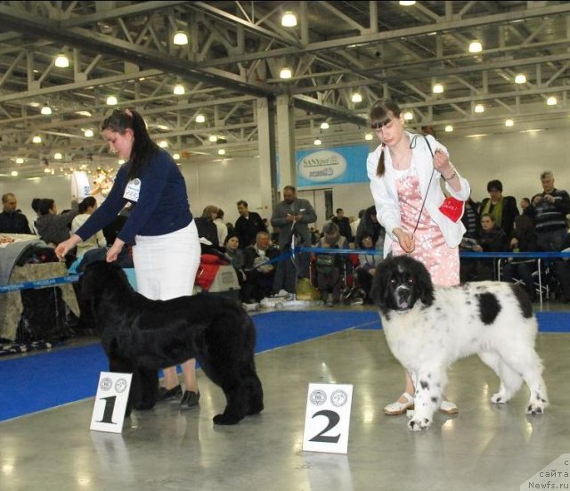 Фотография № 62705