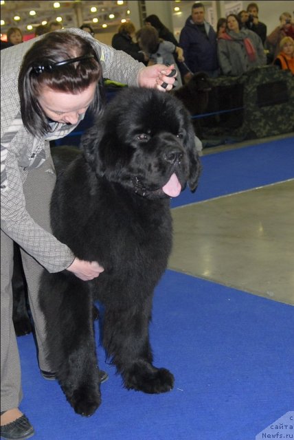 Фотография № 62706