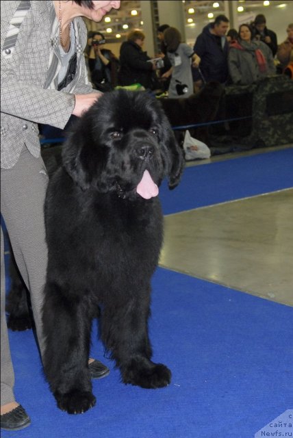 Фотография № 62707