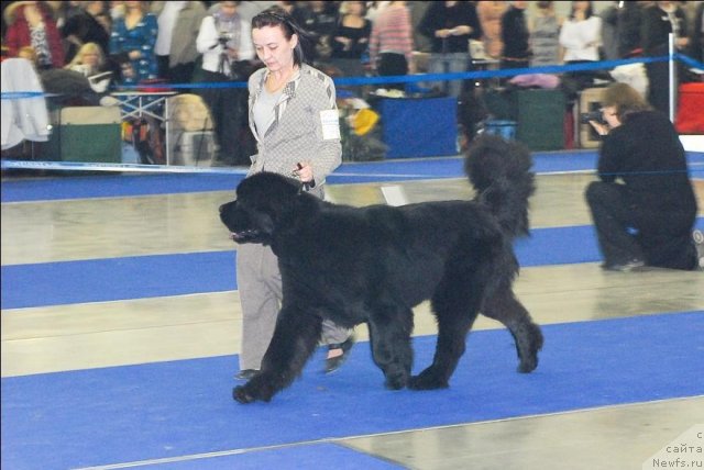 Фотография № 62709