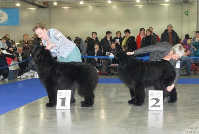 Фотография № 62710