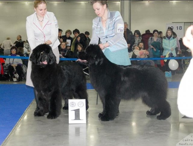 Фотография № 62714