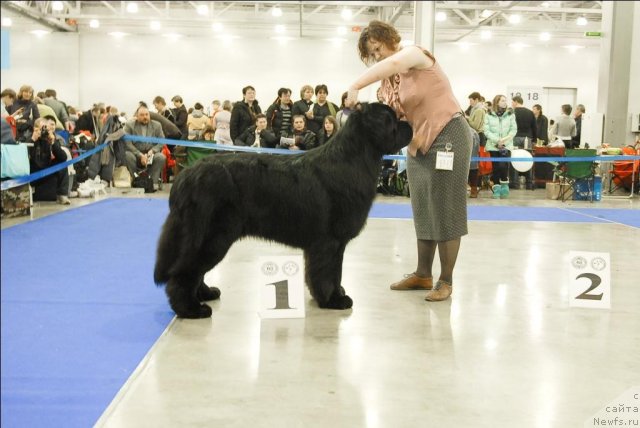 Фотография № 62757