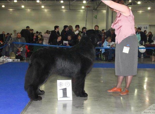 Фотография № 62758