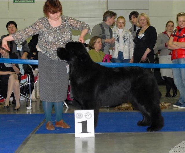 Фотография № 62759