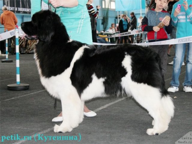 Фотография № 62790