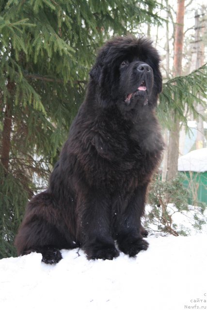 Фотография № 62803