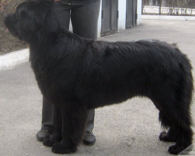 Фотография № 62819