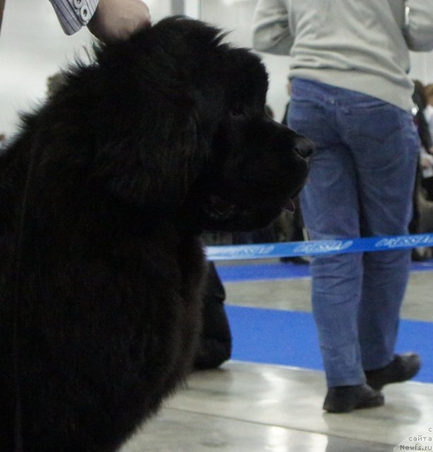 Фотография № 62820