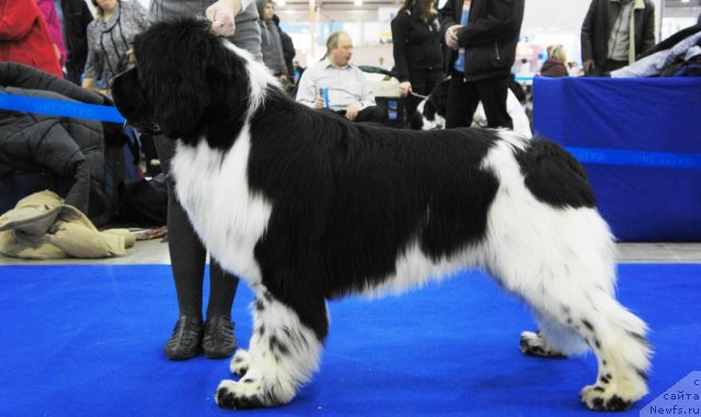 Фотография № 62824