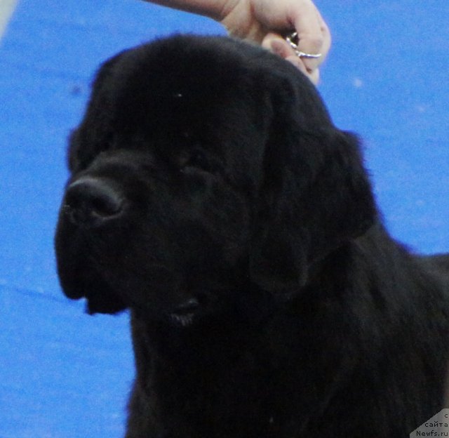 Фотография № 62830