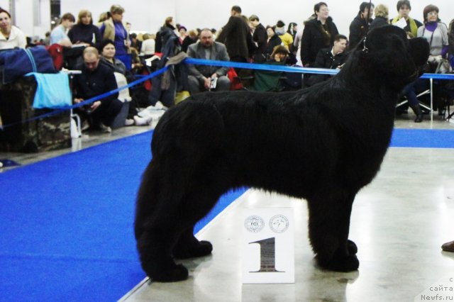 Фотография № 62832