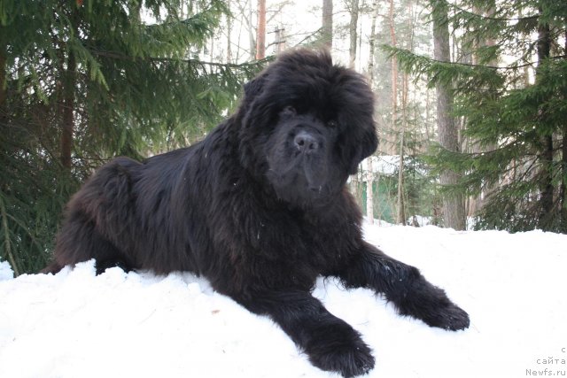 Фотография № 62834