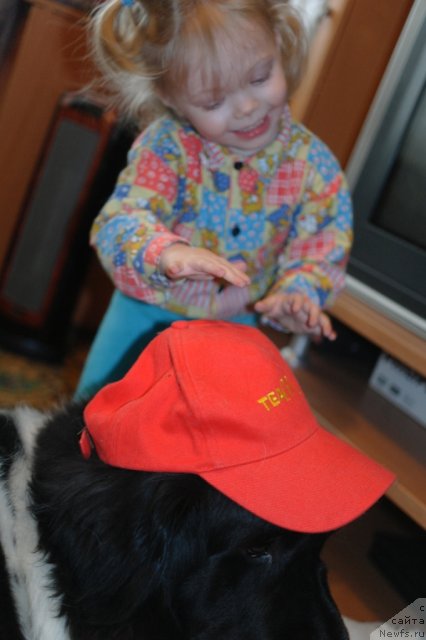 Фото: Полинка (2г.5мес.) и, ньюфаундленд Kiper Soul Jemchujina Belaya (Кипер Соул Жемчужина Белая)