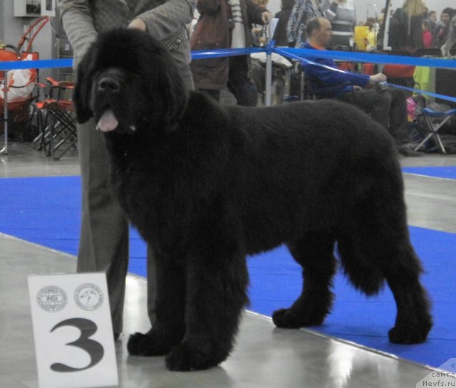 Фотография № 62840