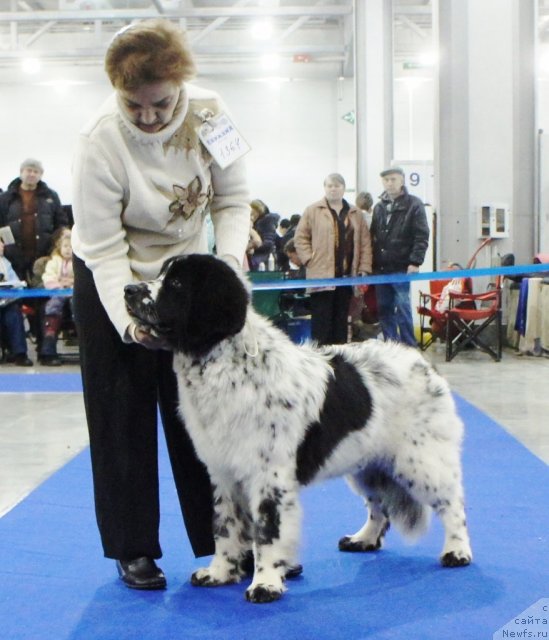 Фотография № 62849