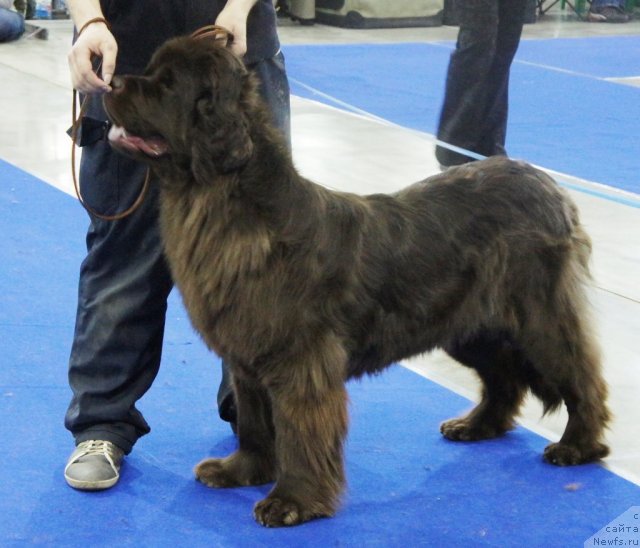 Фотография № 62851