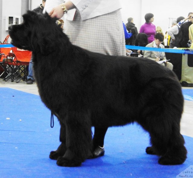 Фотография № 62852