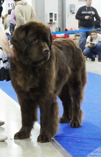 Фотография № 62853