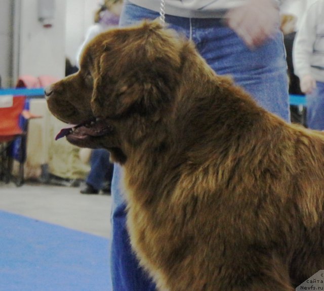 Фотография № 62856