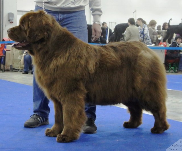 Фотография № 62857